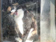 -川沙古镇-停车场