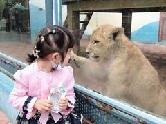 -大连森林动物园