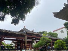 -碧江金楼