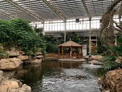 -龙达温泉生态城
