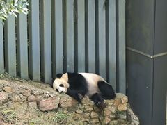 -黔灵山公园