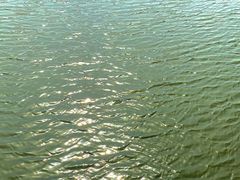 -尚贤河湿地