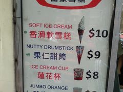 -富豪雪糕车流动点(尖沙咀店)