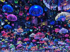 -上海梵高星空艺术馆(南京路旗舰店)