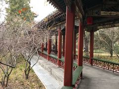 -迎泽公园