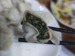 猪肉茴香饺子-大团圆饺子馆(平谷北环路店)