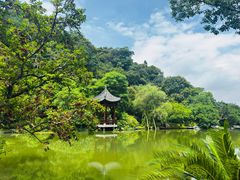 -云溪植物园