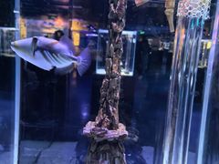 -海合安天津极地海洋公园