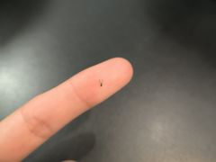 -潇湘阁(汉光百货店)