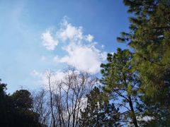 -白塘生态植物园