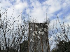 -杭州城北体育公园