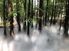 -东湖落雁景区