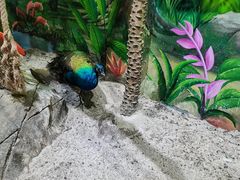 -海合安武汉极地海洋公园