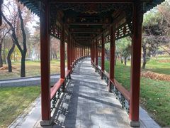 -晋祠公园