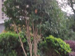 -体汇+名都体育公园足球场