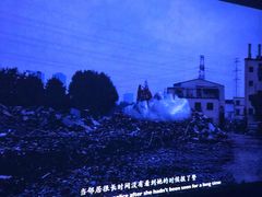 -胶囊画廊