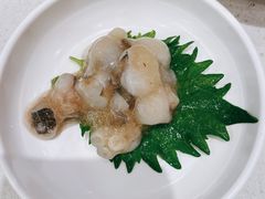 芥末章鱼-京樽回転寿司(奥林匹克店)