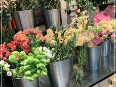 -植物学家的女儿(北马道巷店)