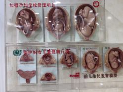 -五洲妇儿医院