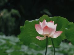 -金山公园
