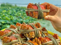 -七的湖·晚芳亭·阳澄湖农家菜·大闸蟹(莲花岛店)