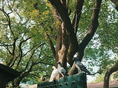 -上海宋庆龄故居纪念馆