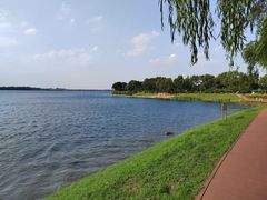 -丁香湖公园