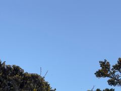 -亚瑟王座