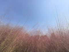 -汉长安城未央宫国家考古遗址公园