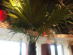 -大匠工房古船木艺术餐厅·猪肚鸡专门店(长白仙岛店)