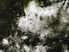 -三兄弟高炉烧饼