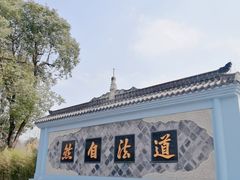 -青羊宫
