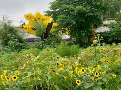 -酷鱼垂钓CLUB(朝阳区博大路店 )