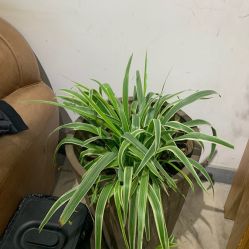 -M+hair salon专业造型沙龙
