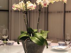 店内布置-漢舍中国菜馆(889广场店)