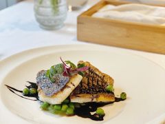 -蝶舍·MAISON PAPILLON