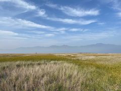 -野鸭湖国家湿地公园