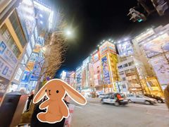 -秋叶原电器街