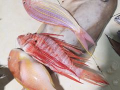 -羊栏农贸市场(羊新路店)