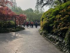 -兰溪青年公园