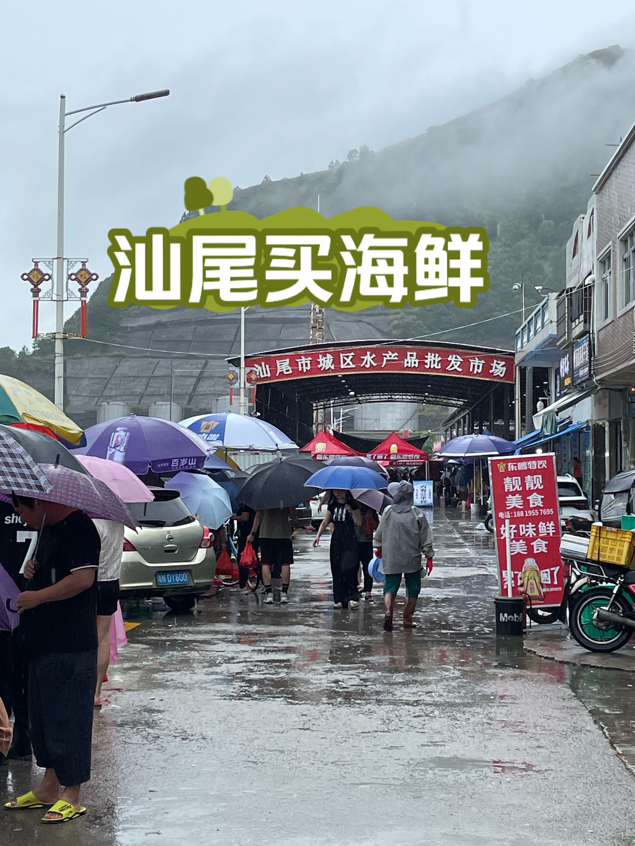 汕尾马宫码头海鲜市场图片