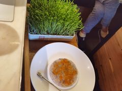 活体豌豆苗-左庭右院鲜牛肉火锅(浦江欢乐颂店)