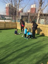 -萌宠亲子动物乐园(槐房万达店)