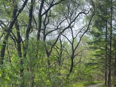 -帽儿山国家森林公园