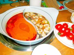 -青瓷火锅料理(西单大悦城店)