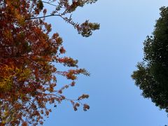 -广富林郊野公园