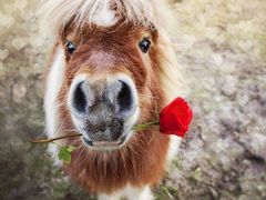 -风味烧烤(泰富店)