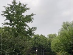 -北坞公园
