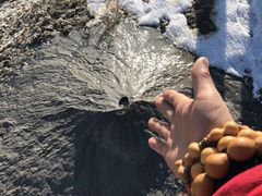 -渔公馆·川菜馆·家宴·生日宴(大地中央广场店)