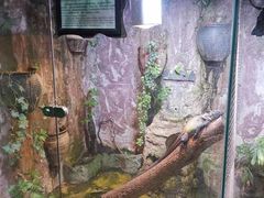 -上海大自然野生昆虫馆(东方明珠·爬宠昆虫探索中心)